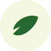 Membership_Seed_Plan Membership Seed Plan